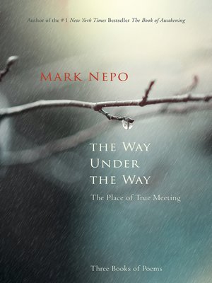 cover image of The Way Under the Way